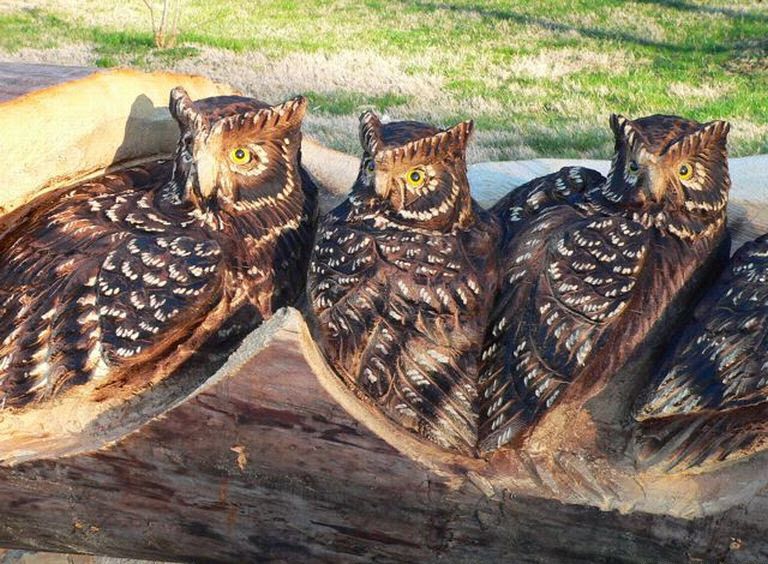 Motorna pila i umjetnost!